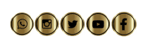 redes social media logo gold