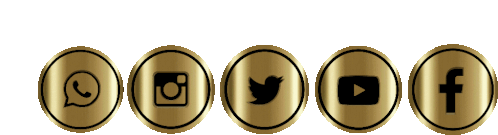 Redes Social Media Logo Sticker - Redes Social Media Logo Gold Stickers