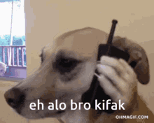 Bro Kifak GIF - Bro Kifak Mnig GIFs