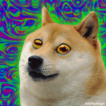 Doge Dogecoin GIF - Doge Dogecoin Hypno GIFs