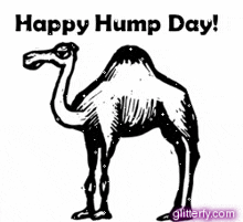 a black and white drawing of a camel with the words `` happy hump day ! ''