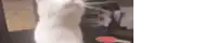 a blurry picture of a person standing next to a black box .
