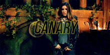 Dinah Laurel Black Canary GIF - Dinah Laurel Black Canary Team Arrow GIFs