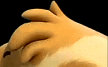 a close up of a cartoon chicken 's face with its eyes closed .