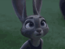 Zootopia Judy Hopps GIF - Zootopia Judy Hopps Bunny GIFs