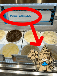 a display of pure vanilla ice cream with an arrow pointing to it
