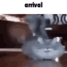 Arrival GIF - Arrival GIFs