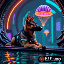 a german shepherd laying on a window sill with a k9 finance logo