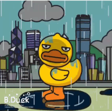 bduck wetduck rainning dryme