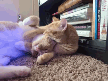 Love Cleaning GIF