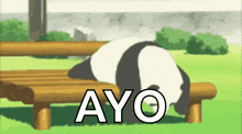 Panda Animated GIF