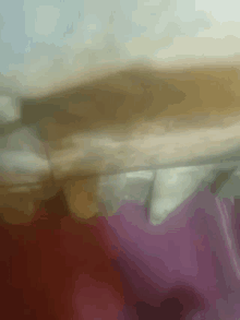 a close up of a curtain with a purple and white background