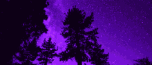 discord purple