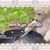 a puppy is playing with a spoon in a pot of water .