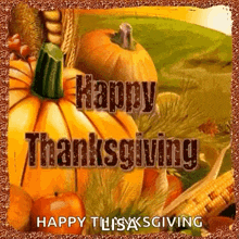 Thanksgiving Week GIF - Thanksgiving Week GIFs