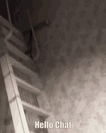 Hello Chat Ladder GIF - Hello Chat Ladder Cat GIFs