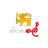 a drawing of a lion holding a sword and the word peace below it