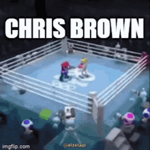 Chris Brown Sexism GIF - Chris Brown Sexism Epic Style GIFs