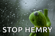a kermit the frog is standing in front of a window with the words stop hemry on the bottom