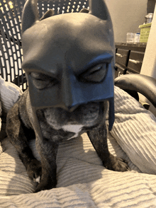 Batman Funny GIF