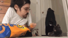 Pet Cat Feeding GIF - Pet Cat Feeding Playing GIFs