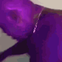Purple Meme GIF - Purple Meme Weird GIFs