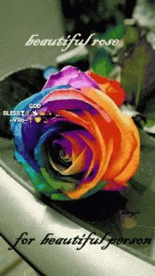 Multi Colored GIF - Multi Colored Rose GIFs