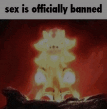 officially sex