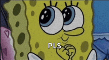 a cartoon of spongebob saying pls in front of his face