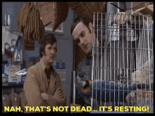 Monty Python Dead Parrot GIF