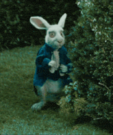 a white rabbit is wearing a blue jacket and standing in the grass .