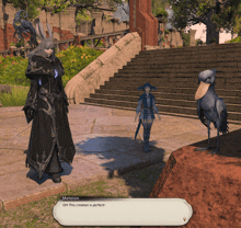 a video game character named meteion is talking to a bird