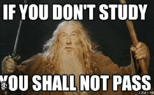 a man with a beard is holding a sword and says if you do n't study you shall not pass ..