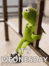 kermit the frog is sitting on a railing with the words `` it 's wednesday '' written on it .