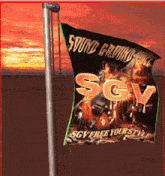 a flag that says sgv on it with a guitar on it