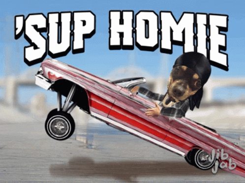 Funny Sup Homie GIF - Funny Sup Homie Hydraulics GIFs