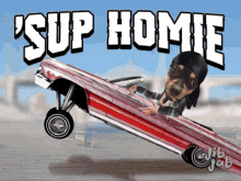 Funny Sup Homie GIF - Funny Sup Homie Hydraulics GIFs