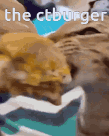Ctburger Crb GIF - Ctburger Ctb Crb GIFs