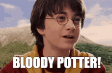 Harry Potter Potter GIF - Harry Potter Potter Bloodypotter GIFs
