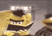 Muppet Sesame Street GIF - Muppet Sesame Street Bert GIFs