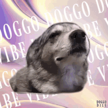 Doggo Doggodile GIF - Doggo Doggodile Vibe GIFs