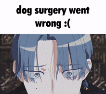 Milgram Dog Surgery GIF - Milgram Dog Surgery GIFs