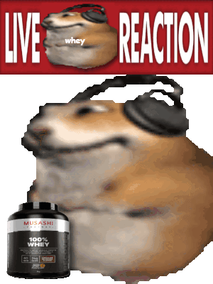 Whey Chomik Sticker - Whey Chomik Live Reaction Stickers