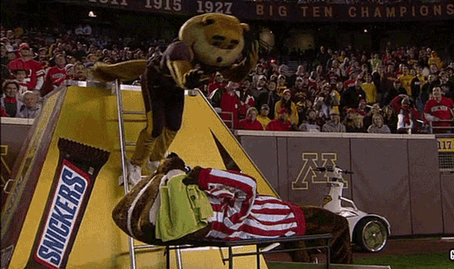 Minnesota Golden Gophers Goldy Gopher GIF Minnesota Golden Gophers Goldy Gopher Golden Gopgers Discover Share GIFs