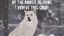 a white dog is sitting in the snow with the words by the power of howl i revive this chat