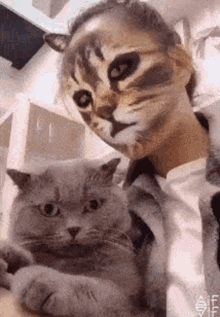 Miau Gatinho GIF - Miau Gatinho Cat GIFs