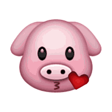 kiss pig love heart kisskiss