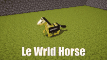 Wrld Horse GIF - Wrld Horse Wrld Horse GIFs