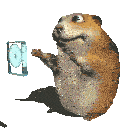 a hamster is holding a cd and smiling .