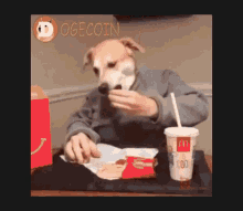 Dogecoin Working GIF
